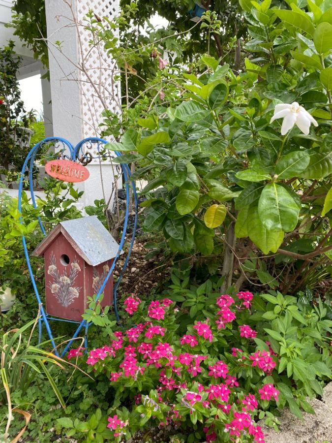 Ocean View With Pool, 4 Bedroom Near Key West