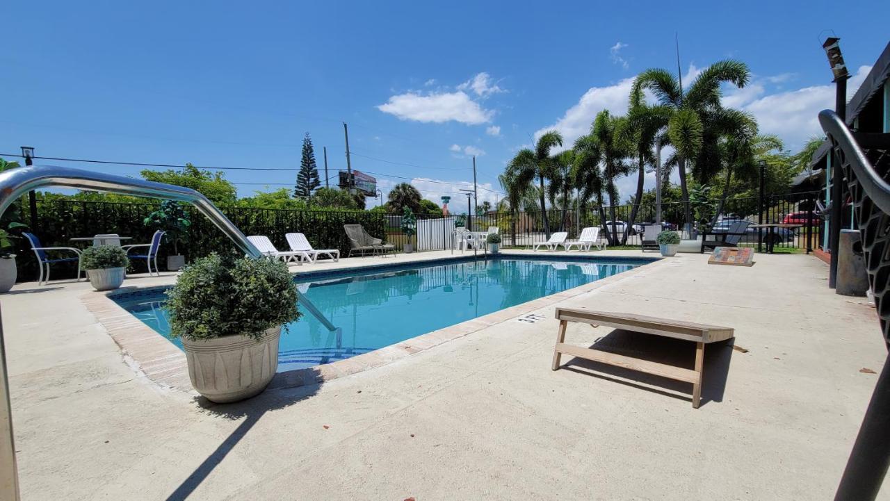 Sunny Palms