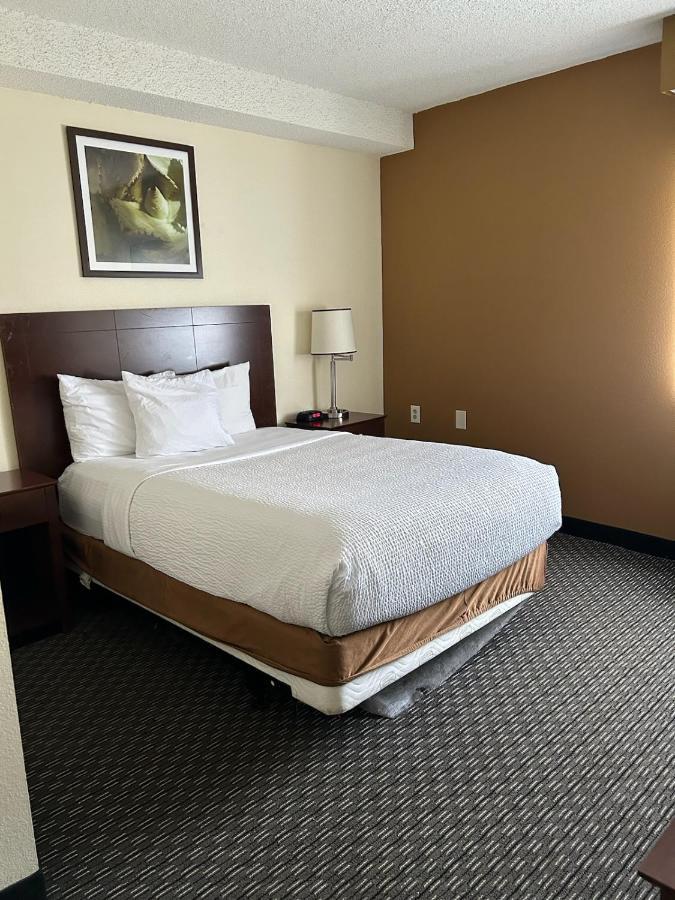Hotel La Quinta By Wyndham Orlando South