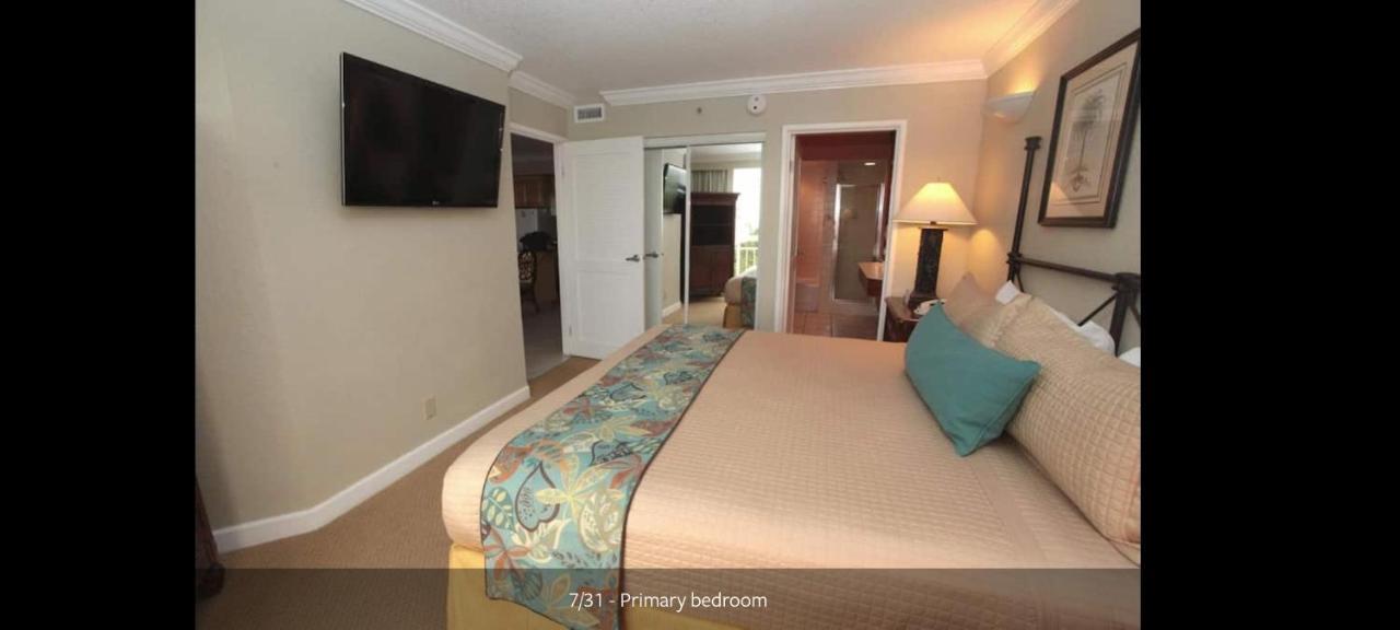 Palm Shores And Vacation