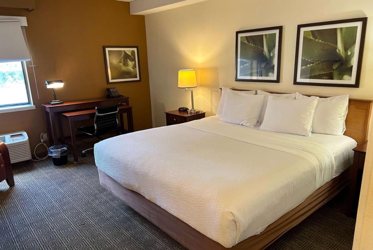 La Quinta By Wyndham Orlando South Hotel Williamsburg