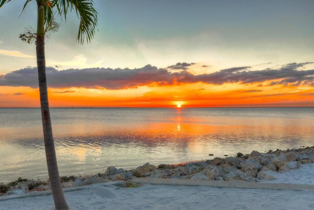 Apartment 409-waterfront View, Wifi, Pool, Close To Bucs Stadium