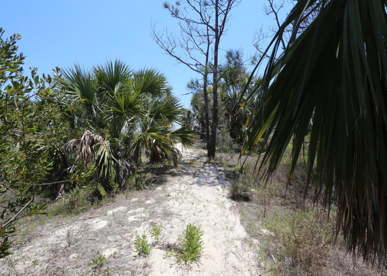 Camp Palms At *