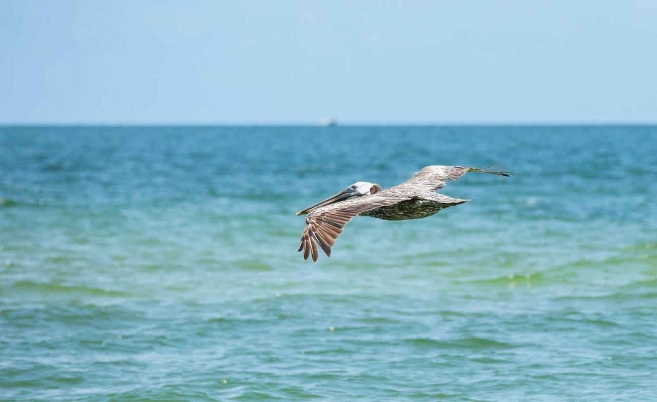 Avanti Vacation Rental Holiday home *