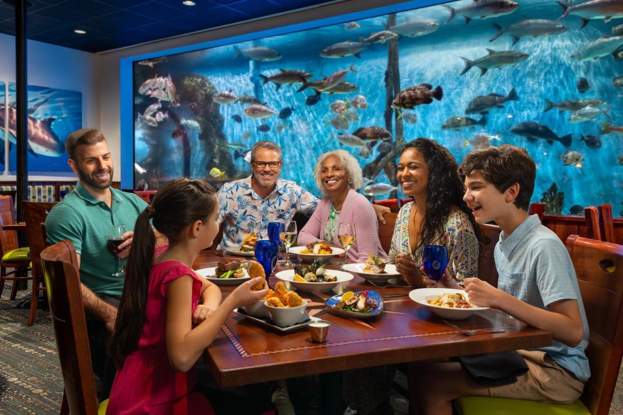 Rumfish At Tradewinds 4* St. Pete Beach