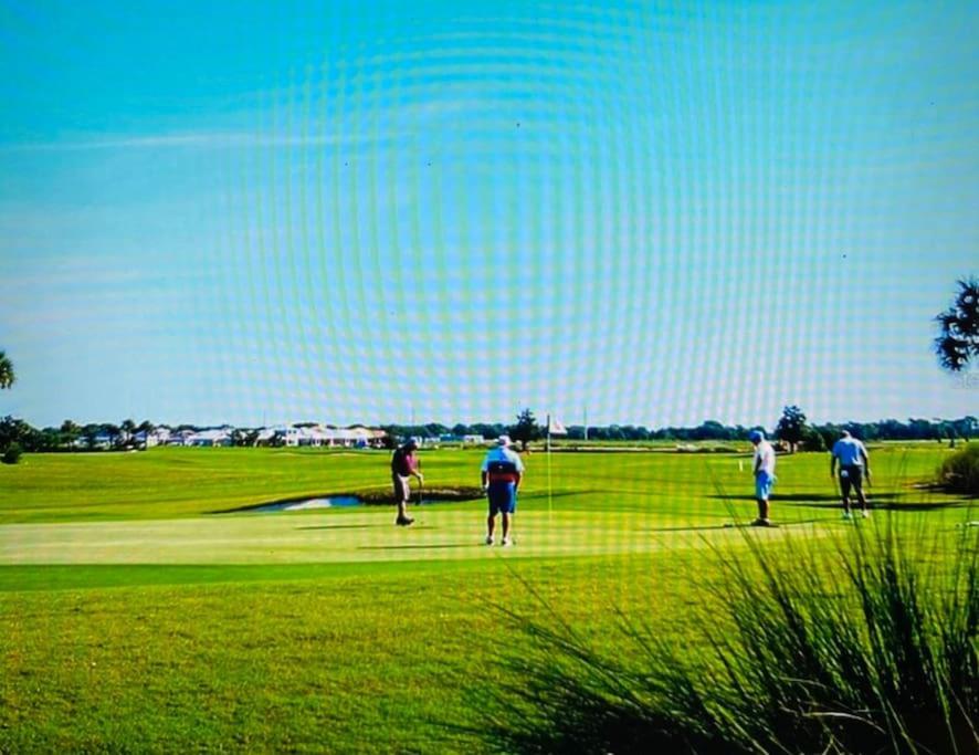 Golf Paradise!-lakewood National -beautiful -palmer's Cove Apartment Bradenton