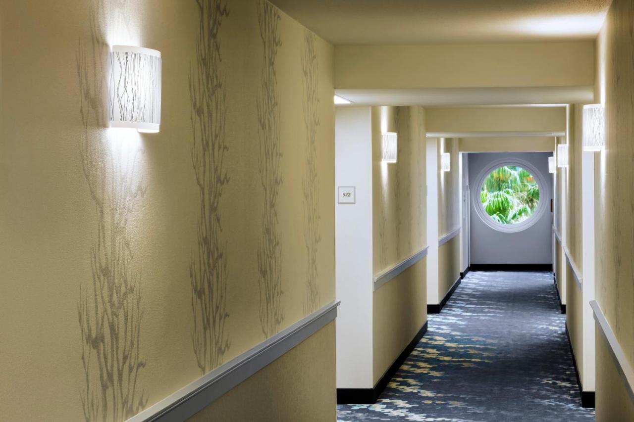 Resort Walt World Dolphin Lake Buena Vista