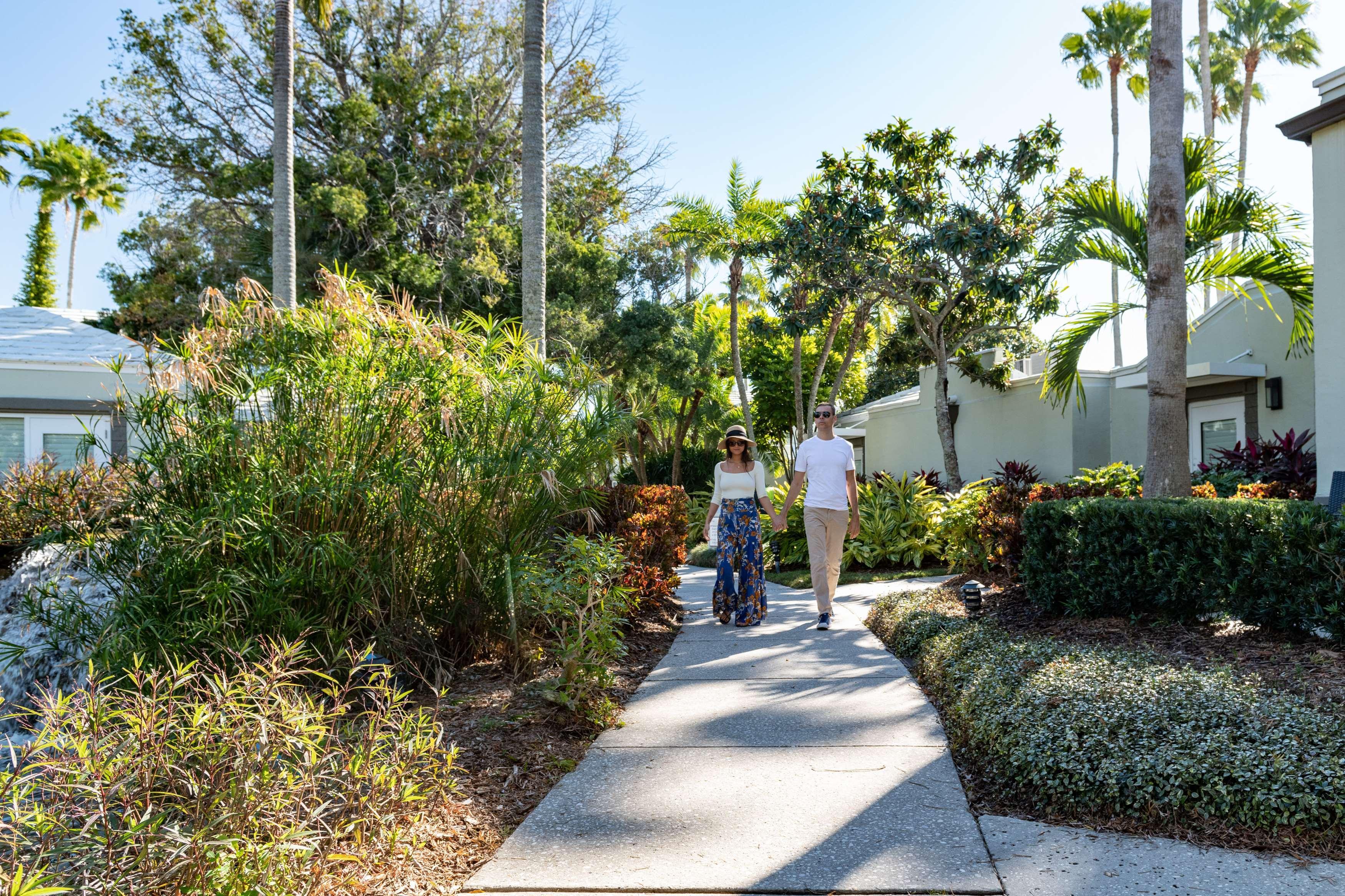 Grand Hyatt Bay Tampa