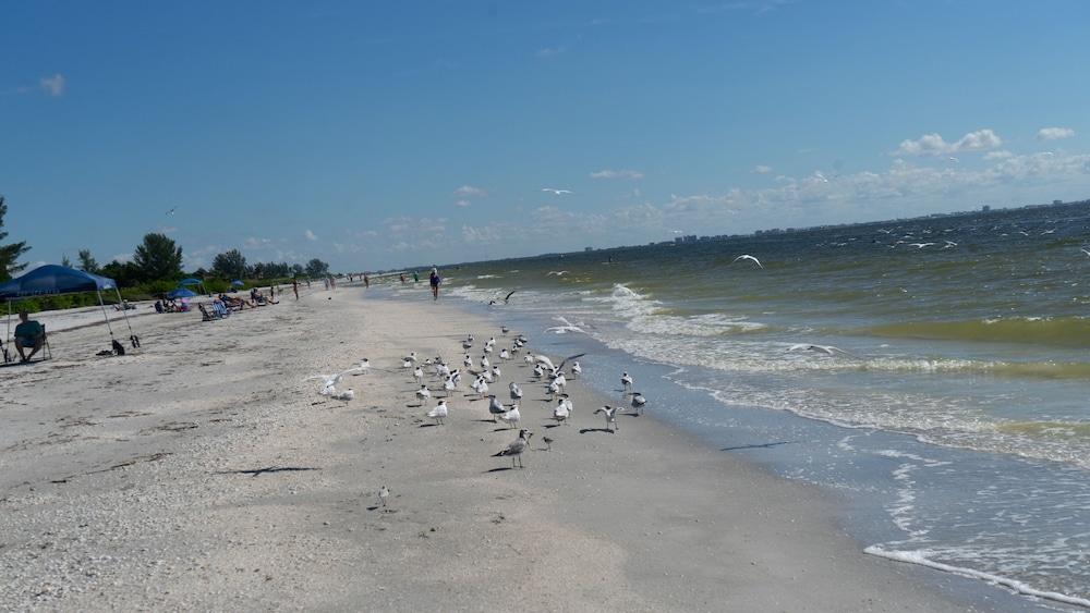 Gulf Breeze