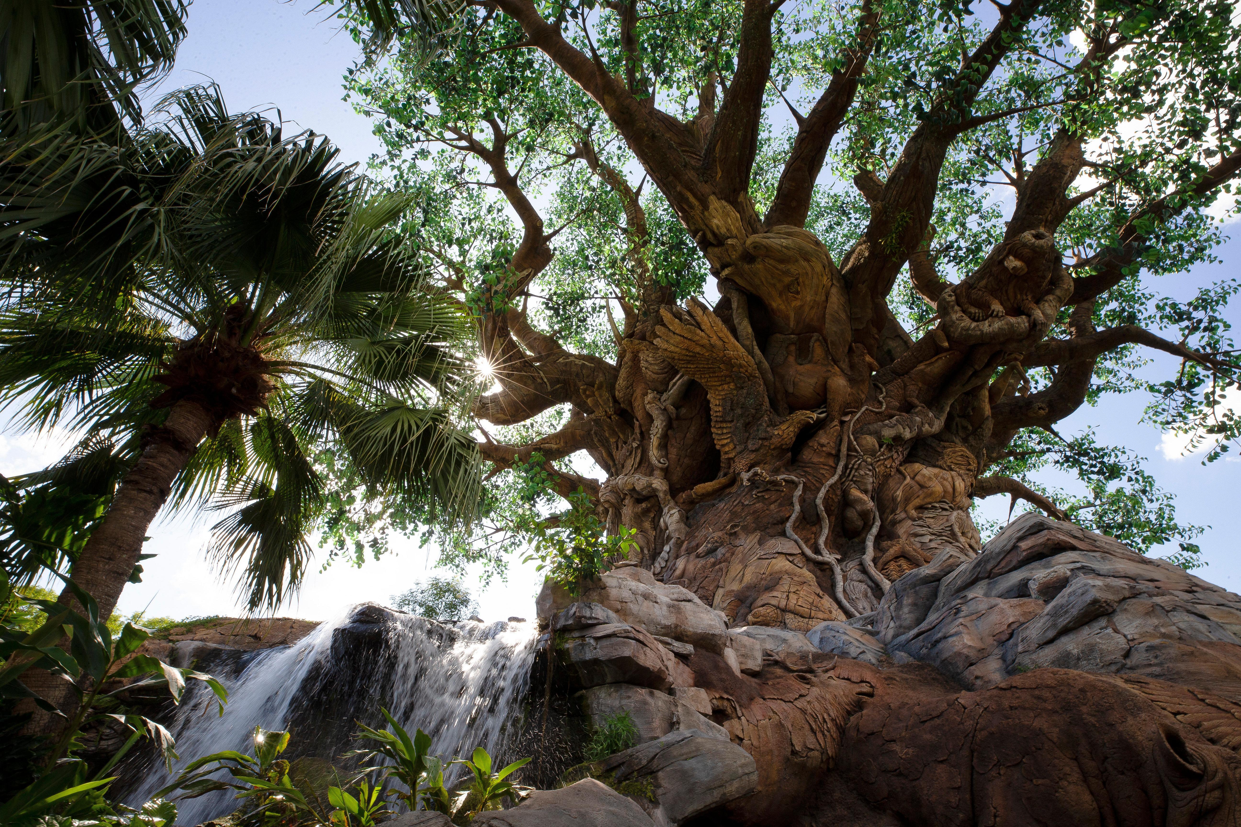 Orlando - Springs™ Area, An Ihg 4* Lake Buena Vista
