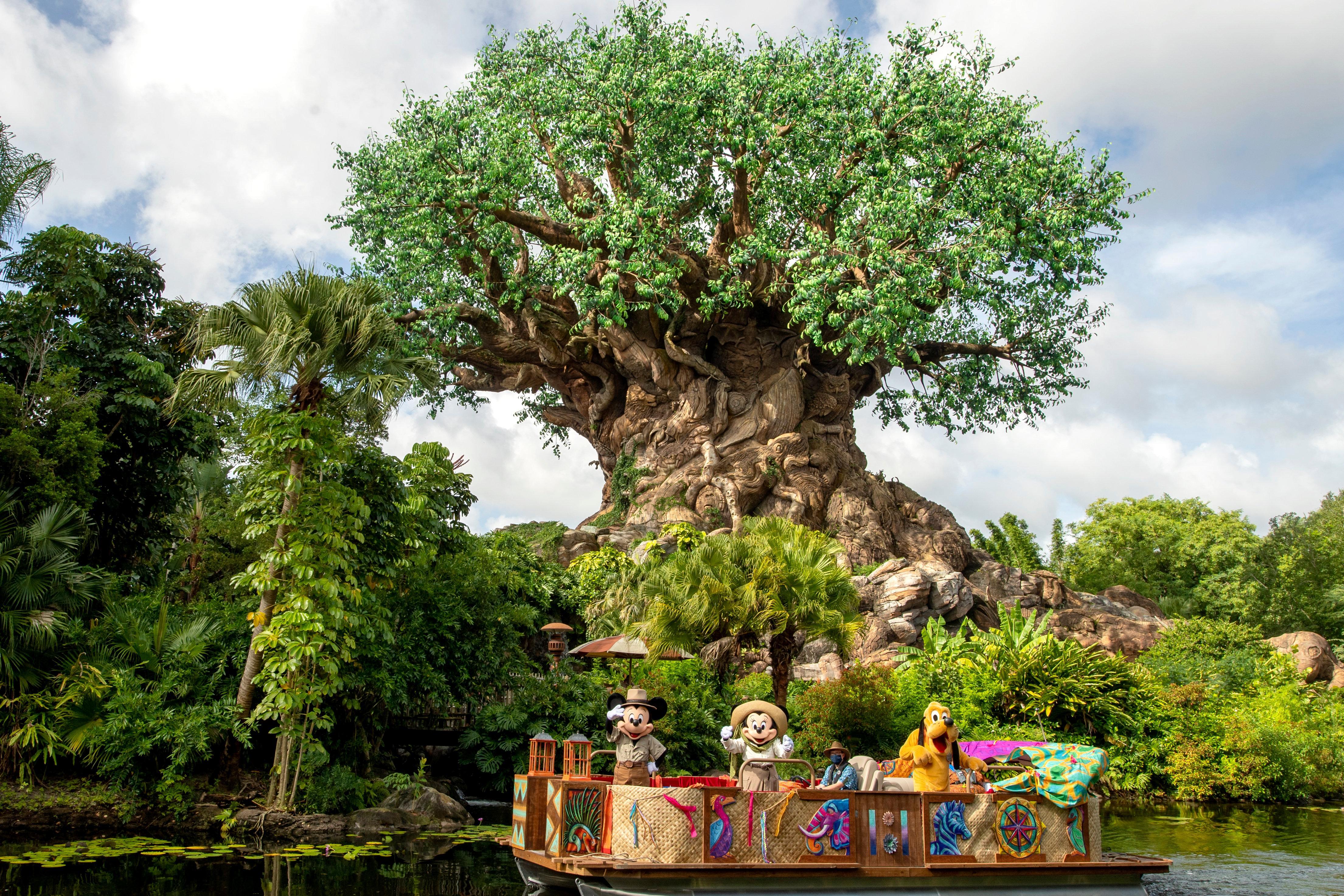 Orlando - Springs™ Area, An Ihg 4* Lake Buena Vista