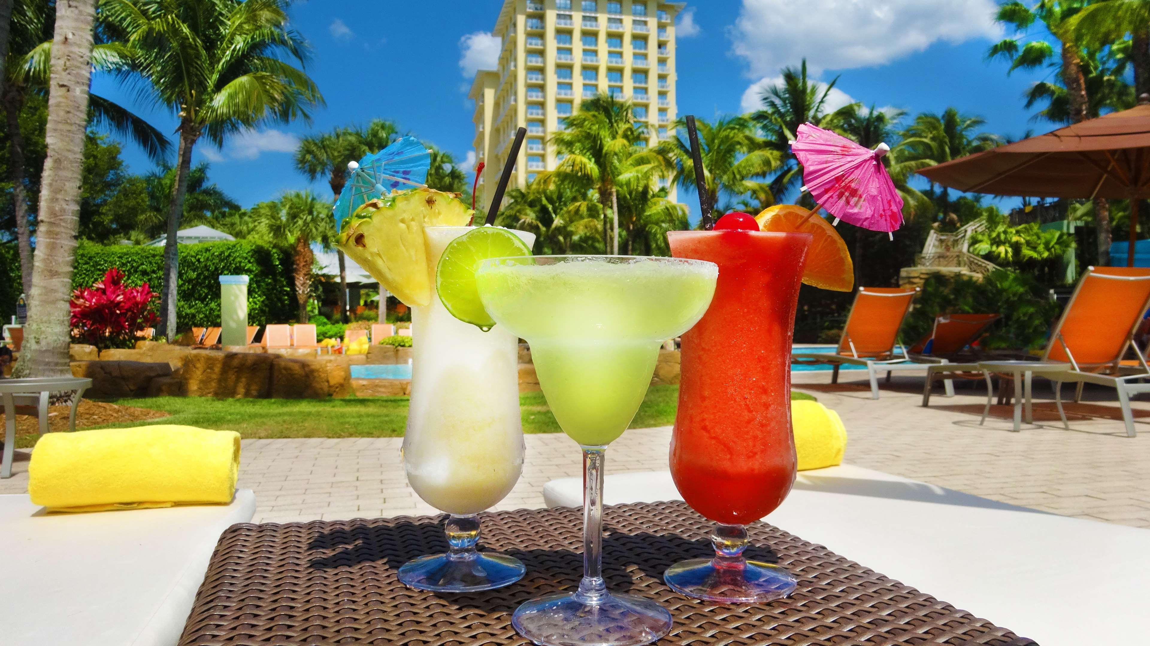Resort Hyatt Regency Coconut Point & Near Naples