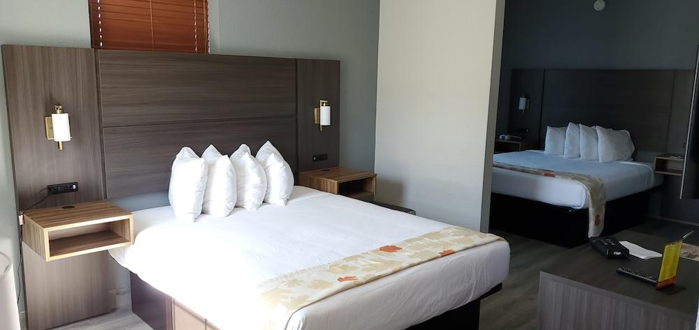 Hawthorn Extended By Wyndham Panama