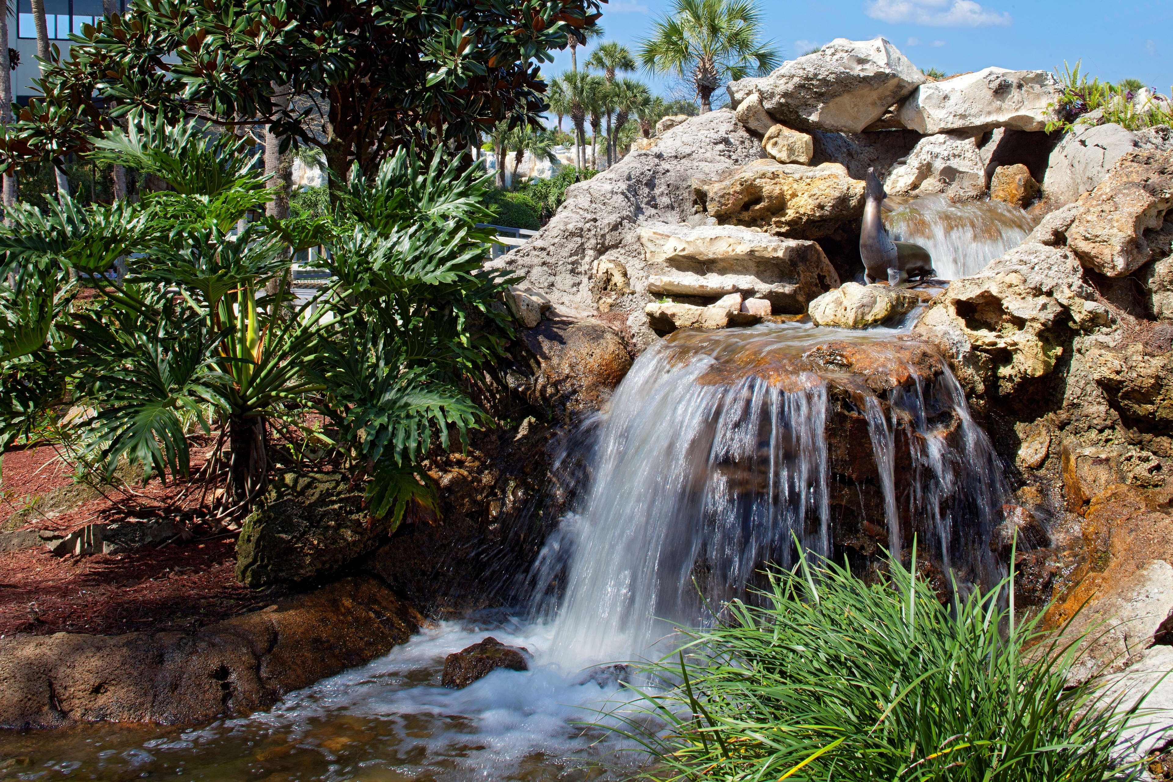 Hyatt Regency Grand Cypress