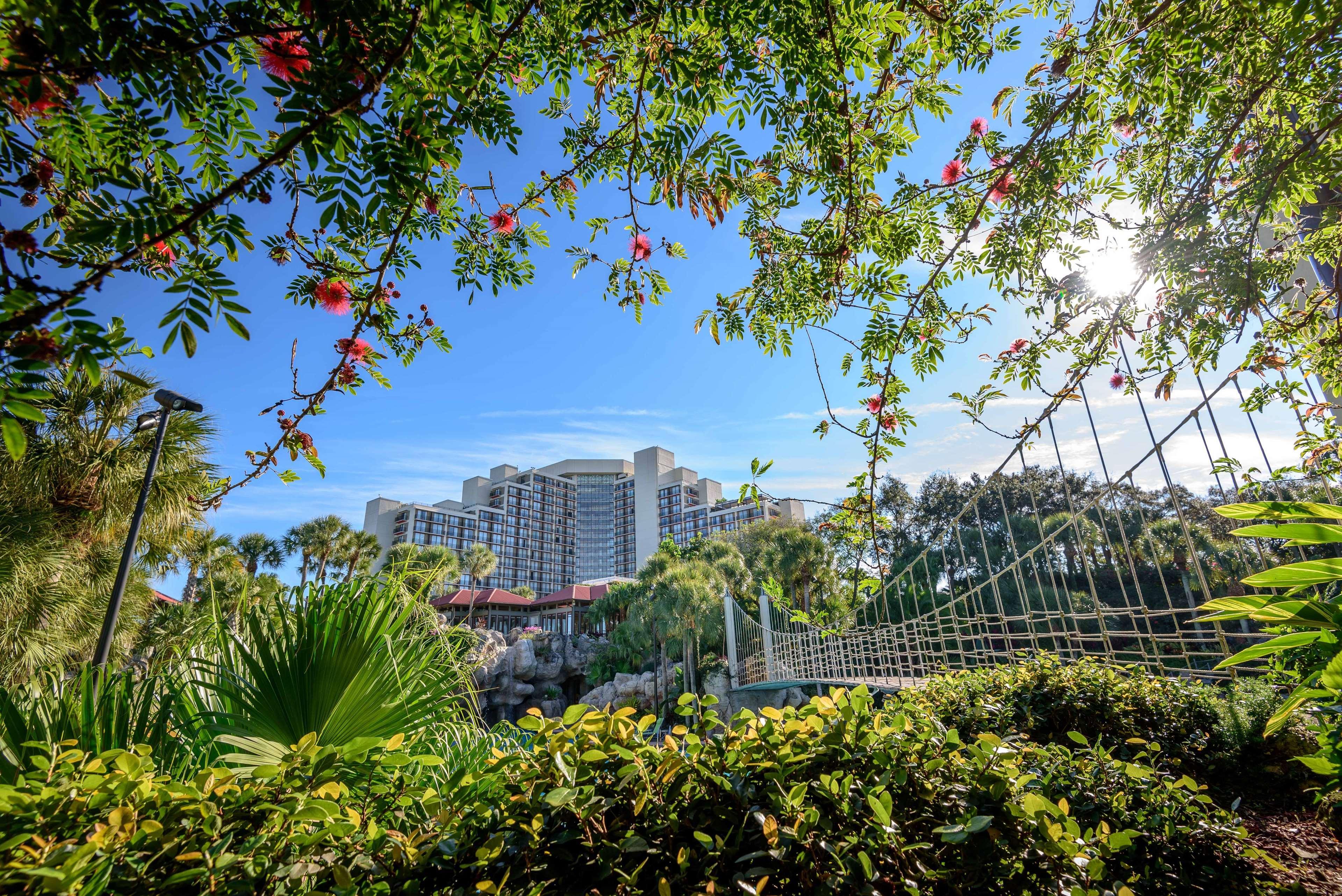 Resort Hyatt Regency Grand Cypress 4*