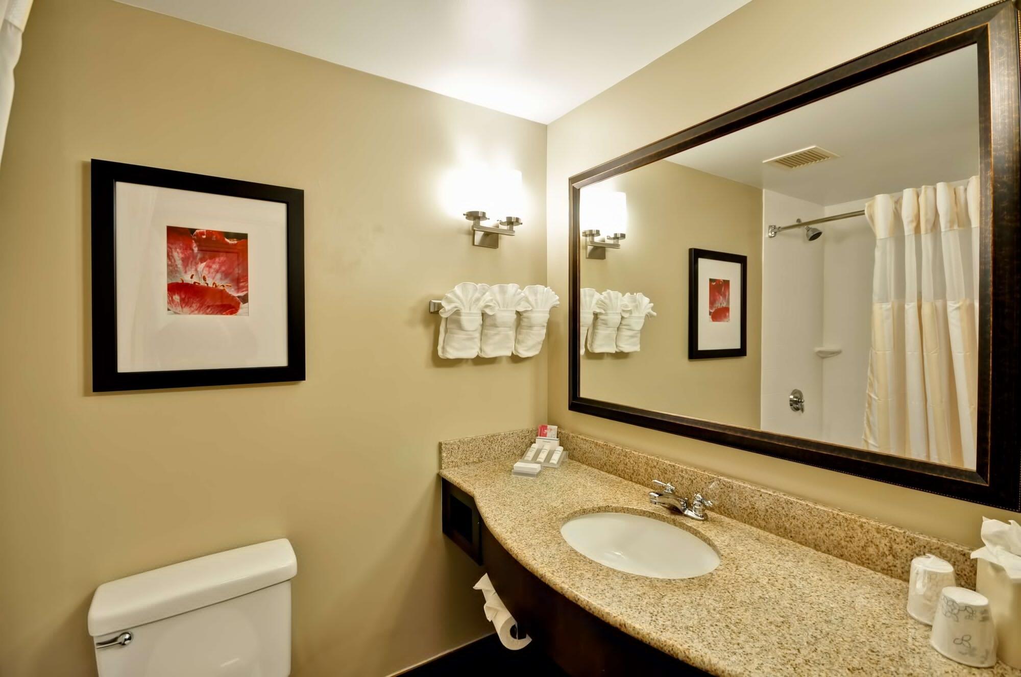 Hotel Hilton Garden Tampa North Temple Terrace