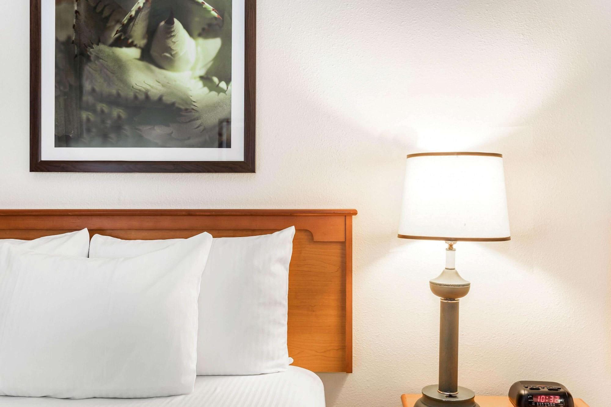 La Quinta By Wyndham Orlando South Hotel Williamsburg