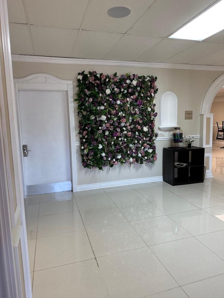 Windsor Of Jacksonville