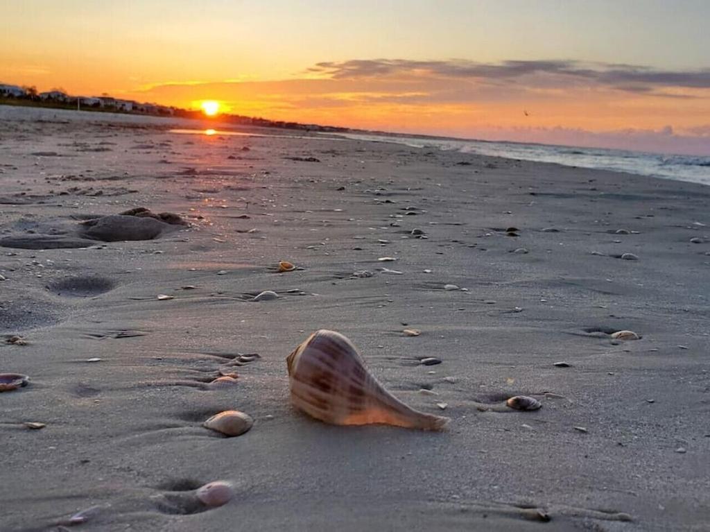 Tortuga Tillys * Cape San Blas