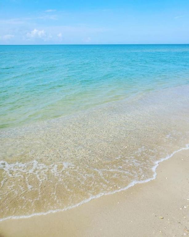 Tortuga Tillys * Cape San Blas