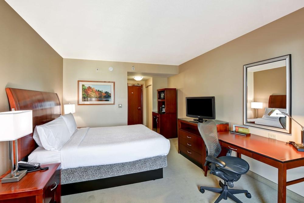 Hilton Garden Tampa Northwest/oldsmar Hotel Oldsmar