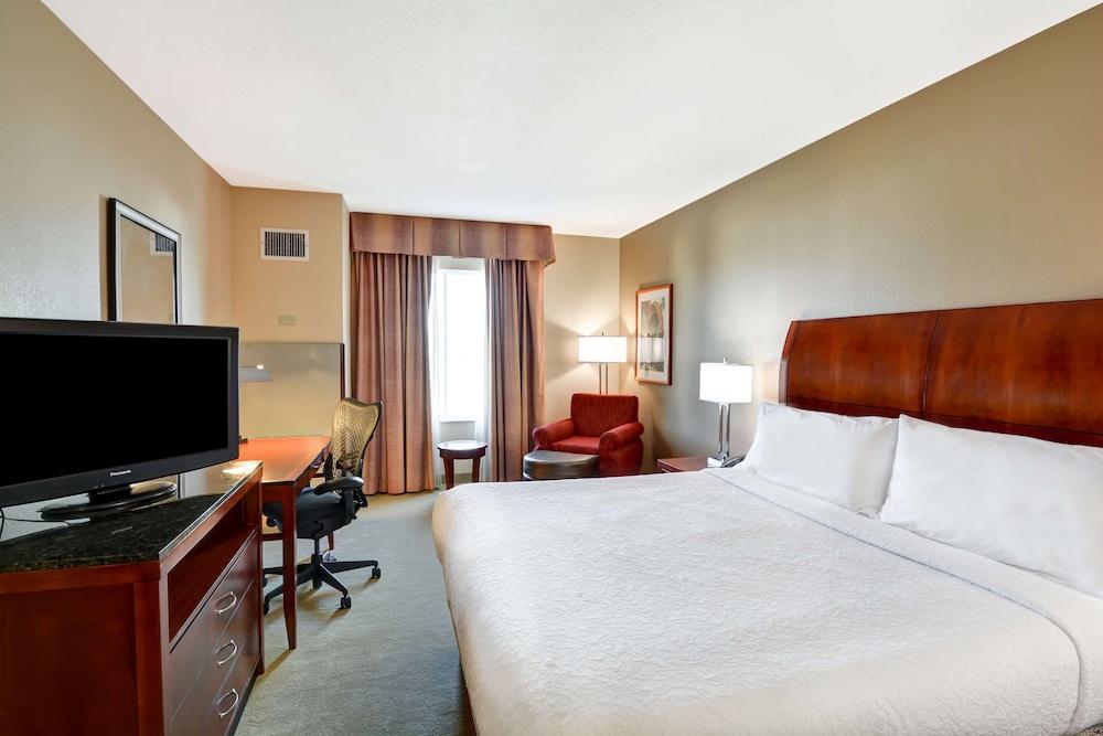 Hilton Garden Tampa Northwest/oldsmar Hotel Oldsmar