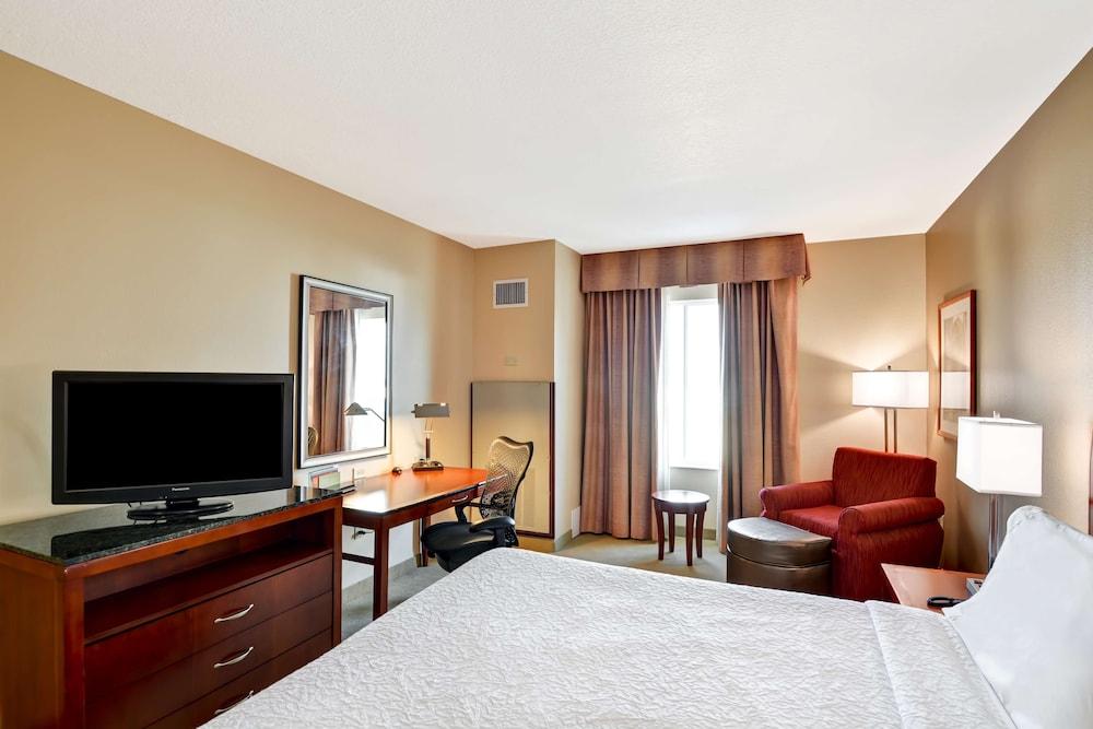 Hilton Garden Tampa Northwest/oldsmar Hotel Oldsmar