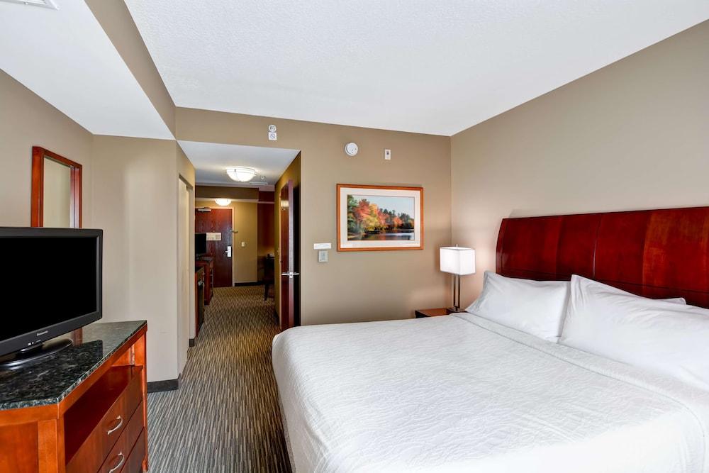 Hilton Garden Tampa Northwest/oldsmar Hotel Oldsmar
