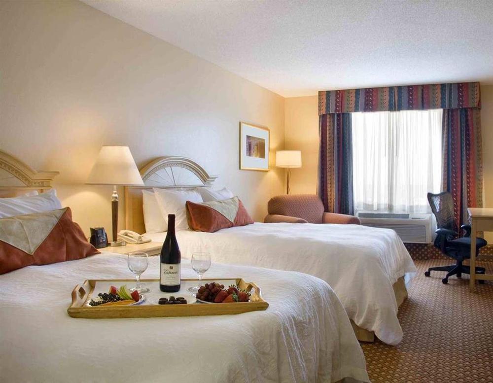Hilton Garden Orlando At Seaworld Hotel Williamsburg