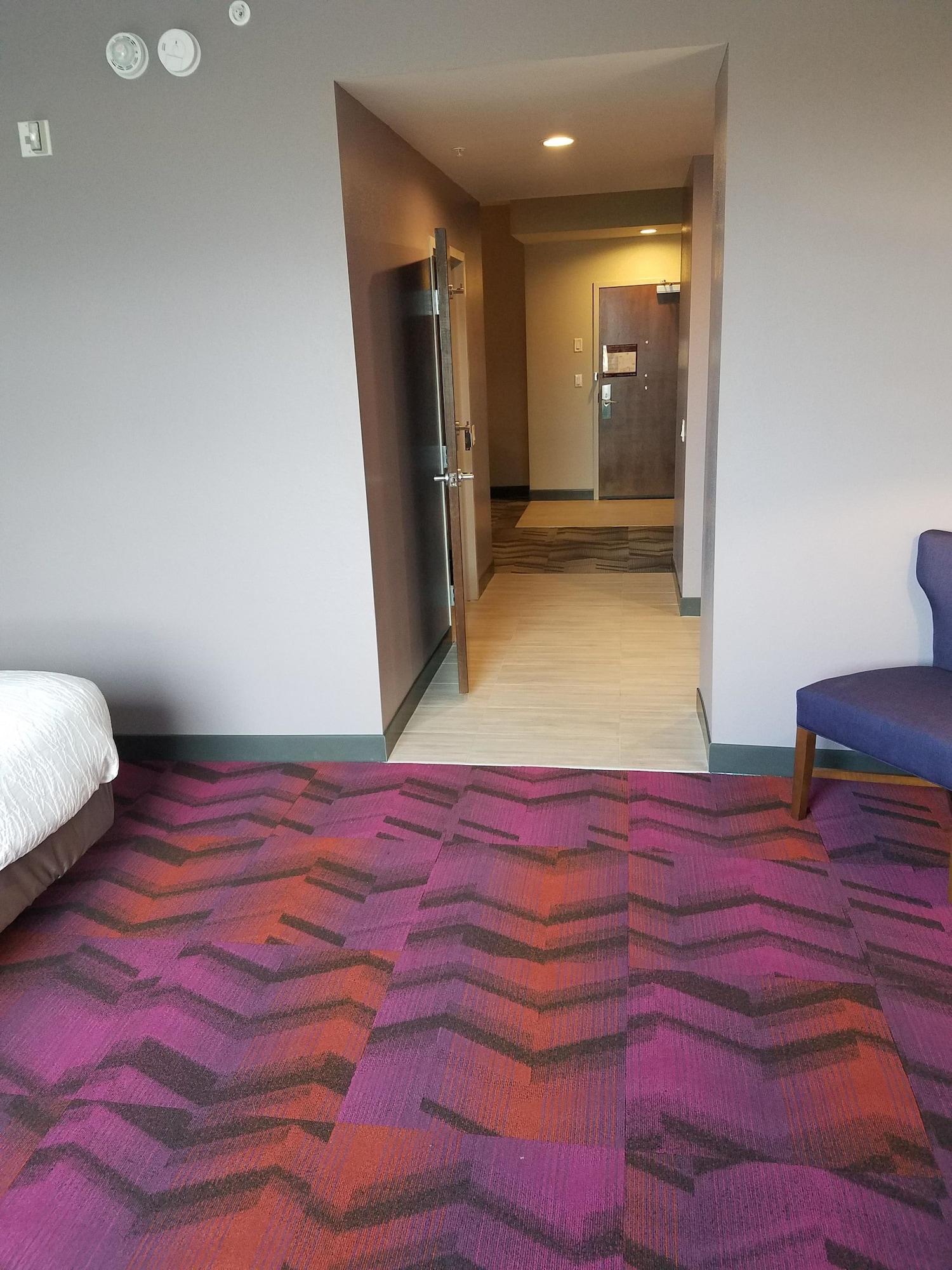Hotel Hilton Garden Tampa Suncoast Parkway 3*