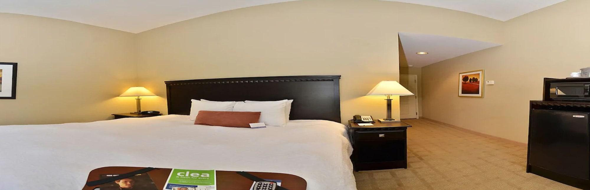 Hotel Hampton Dade - Zephyr Hills 3*
