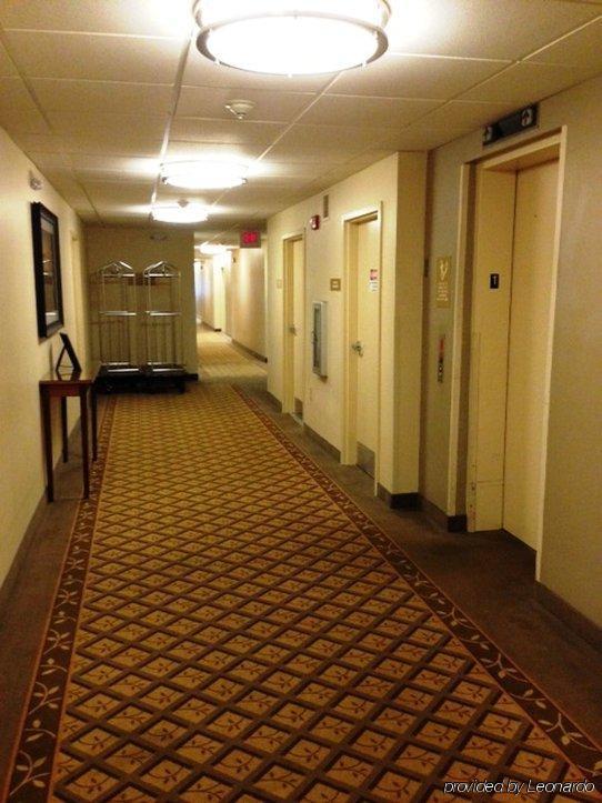Sonesta Simply 3* Jacksonville