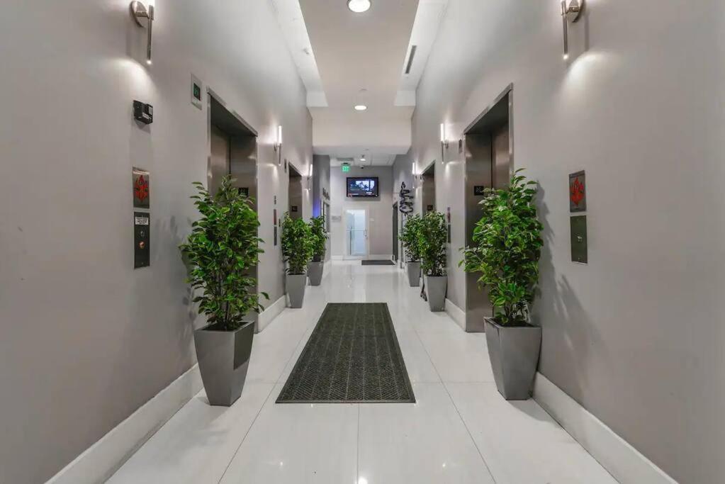 Apartment Brickell Center W/city & Bay View + Free Parking! *
