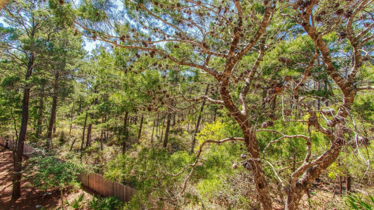 Monkey Business - Is Up To Date And Modern As Well As Dog Friendly Holiday home Santa Rosa Beach