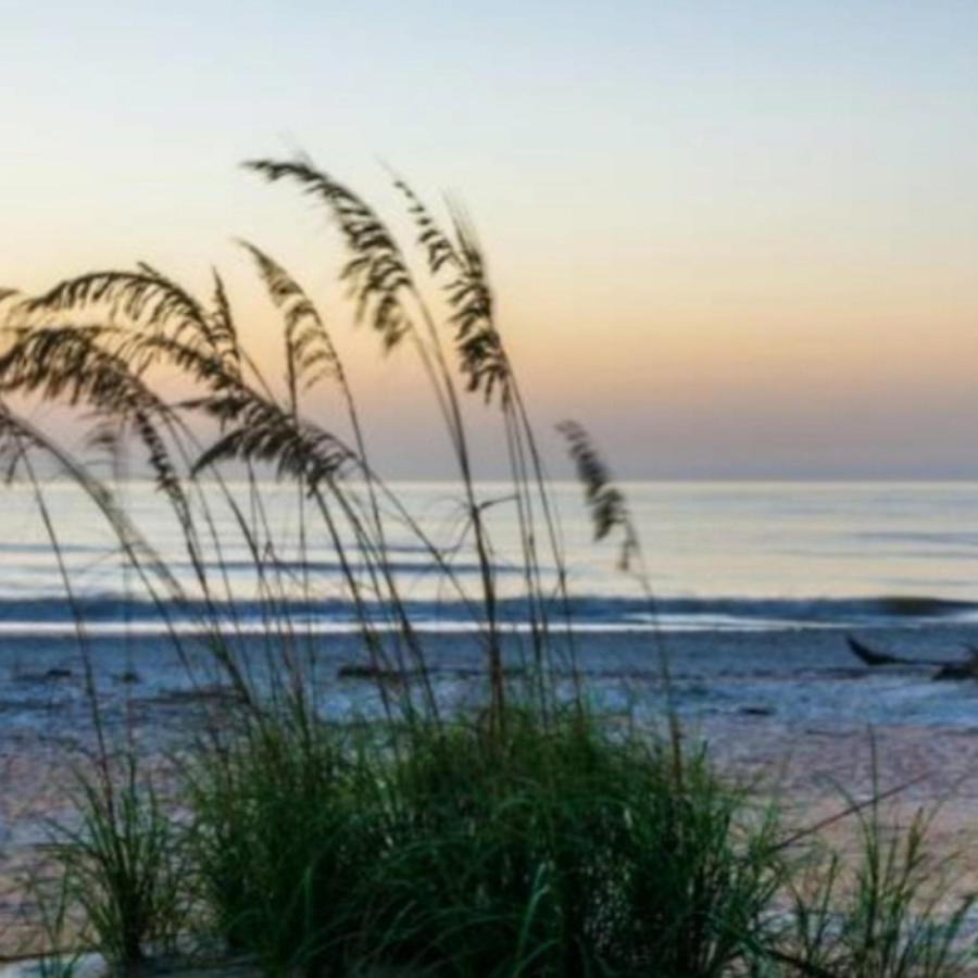 Holiday home Island Charmer Davis Shores, Pets, Firepit