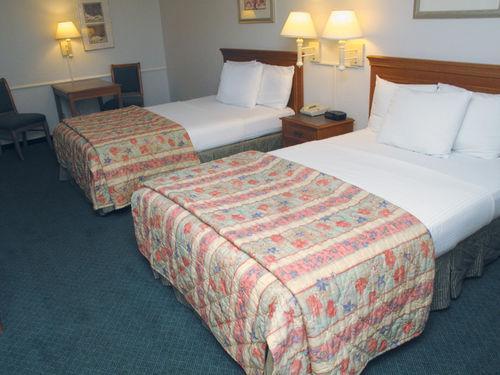 Hotel La Quinta By Wyndham Tampa Bay Clearwater
