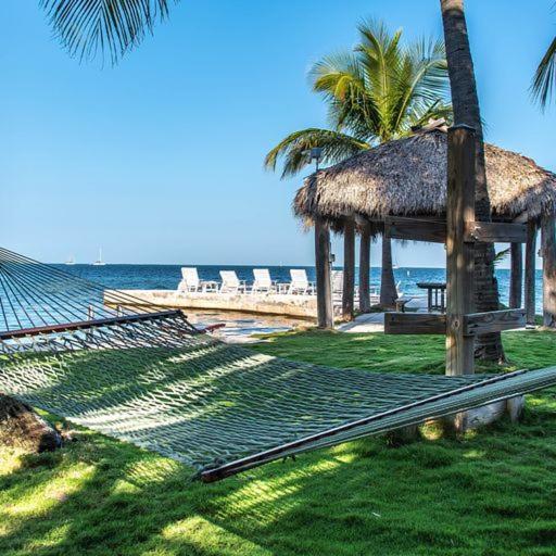 Little Bay Upper Islamorada