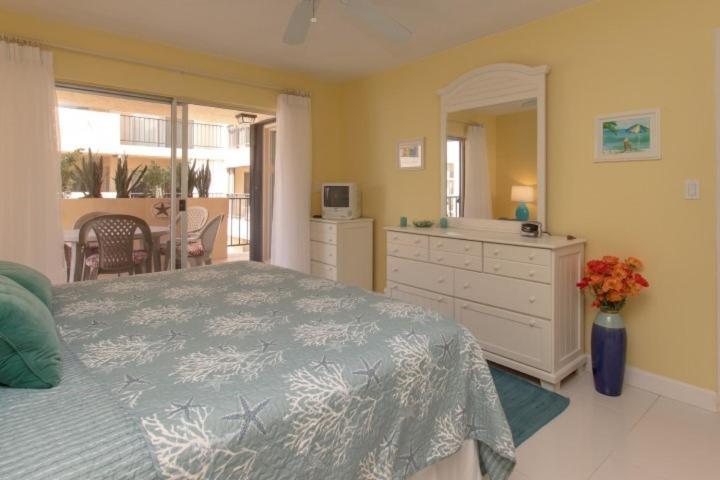 Palms 404