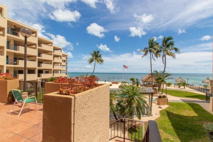 Palms 404