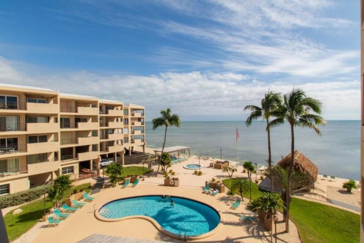 Palms 407