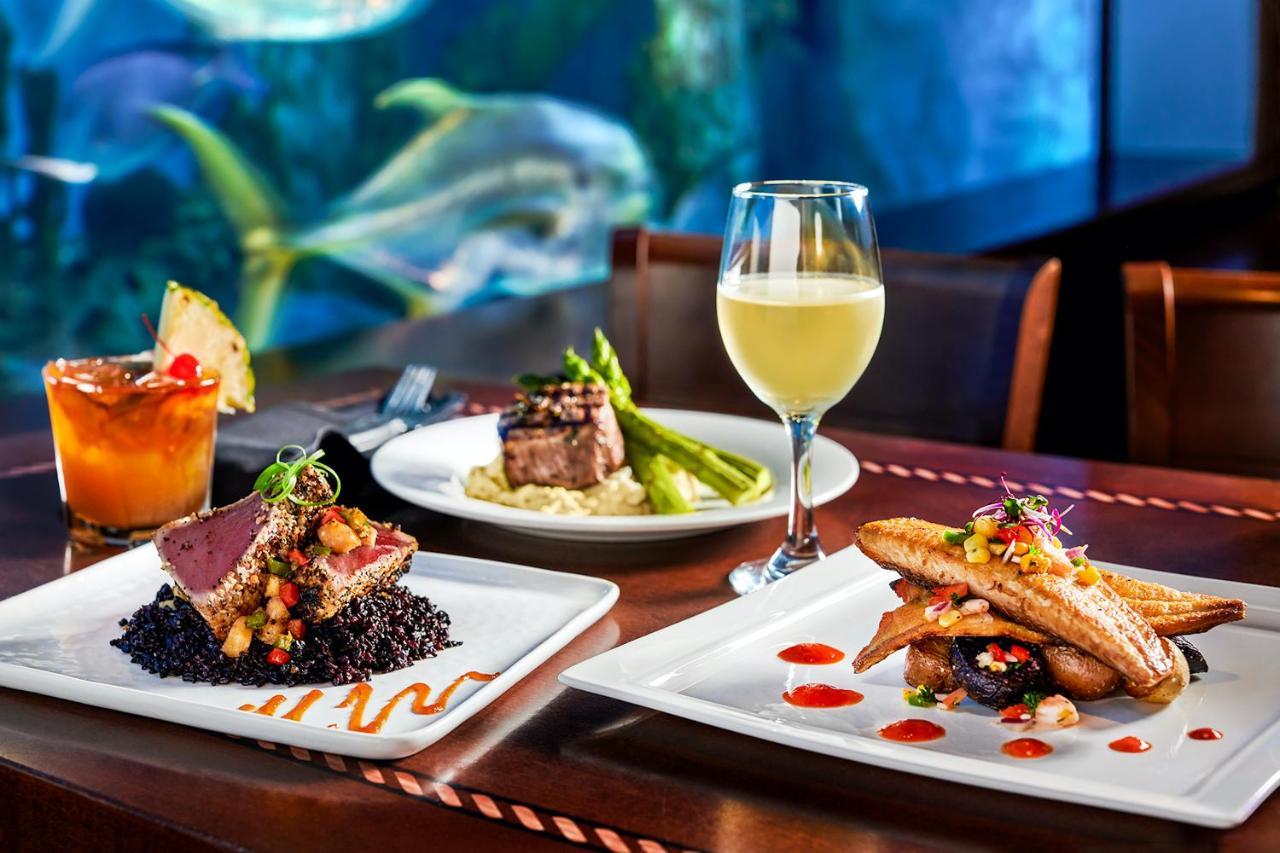 Rumfish At Tradewinds St. Pete Beach