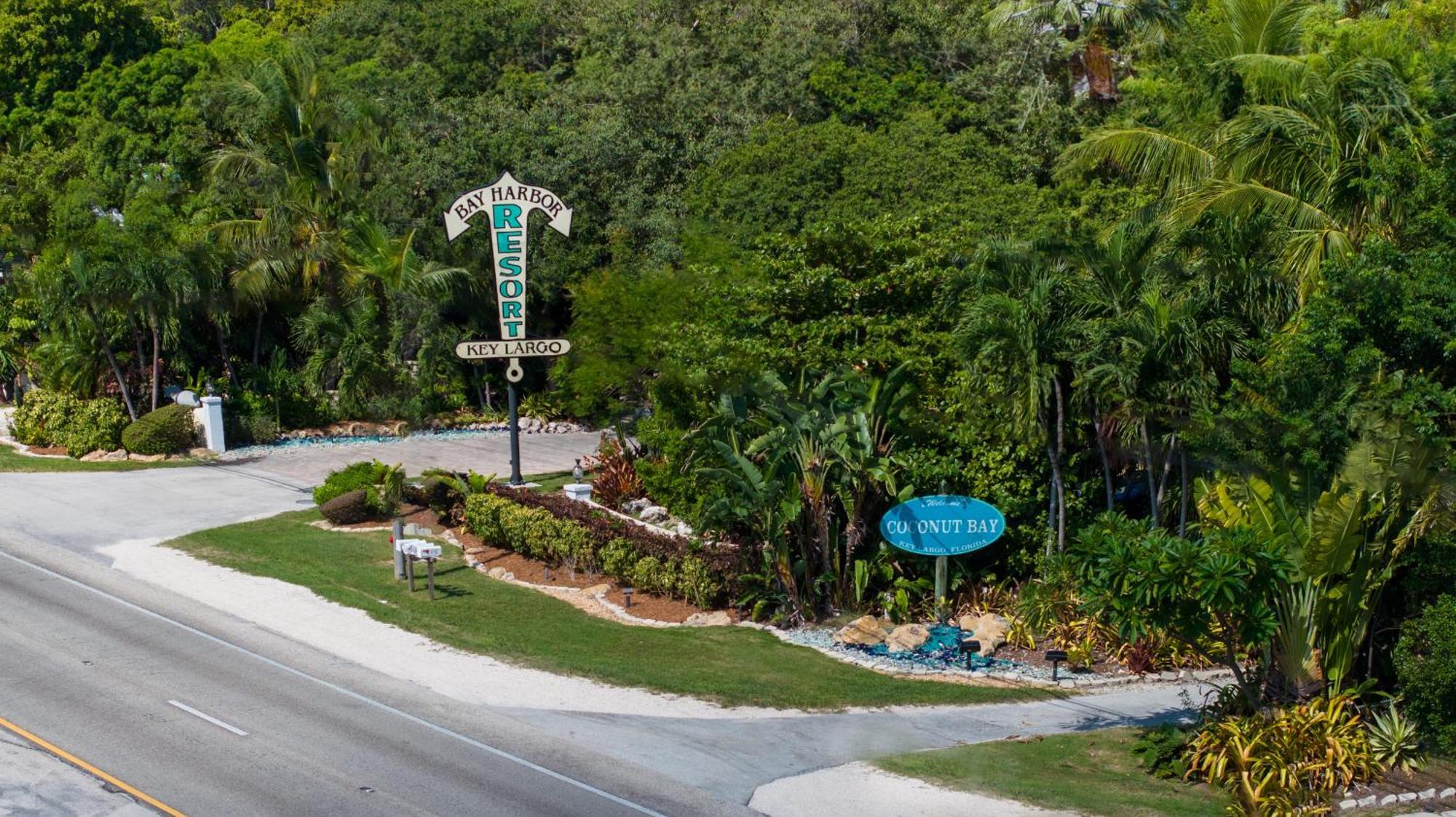 Coconut Bay -