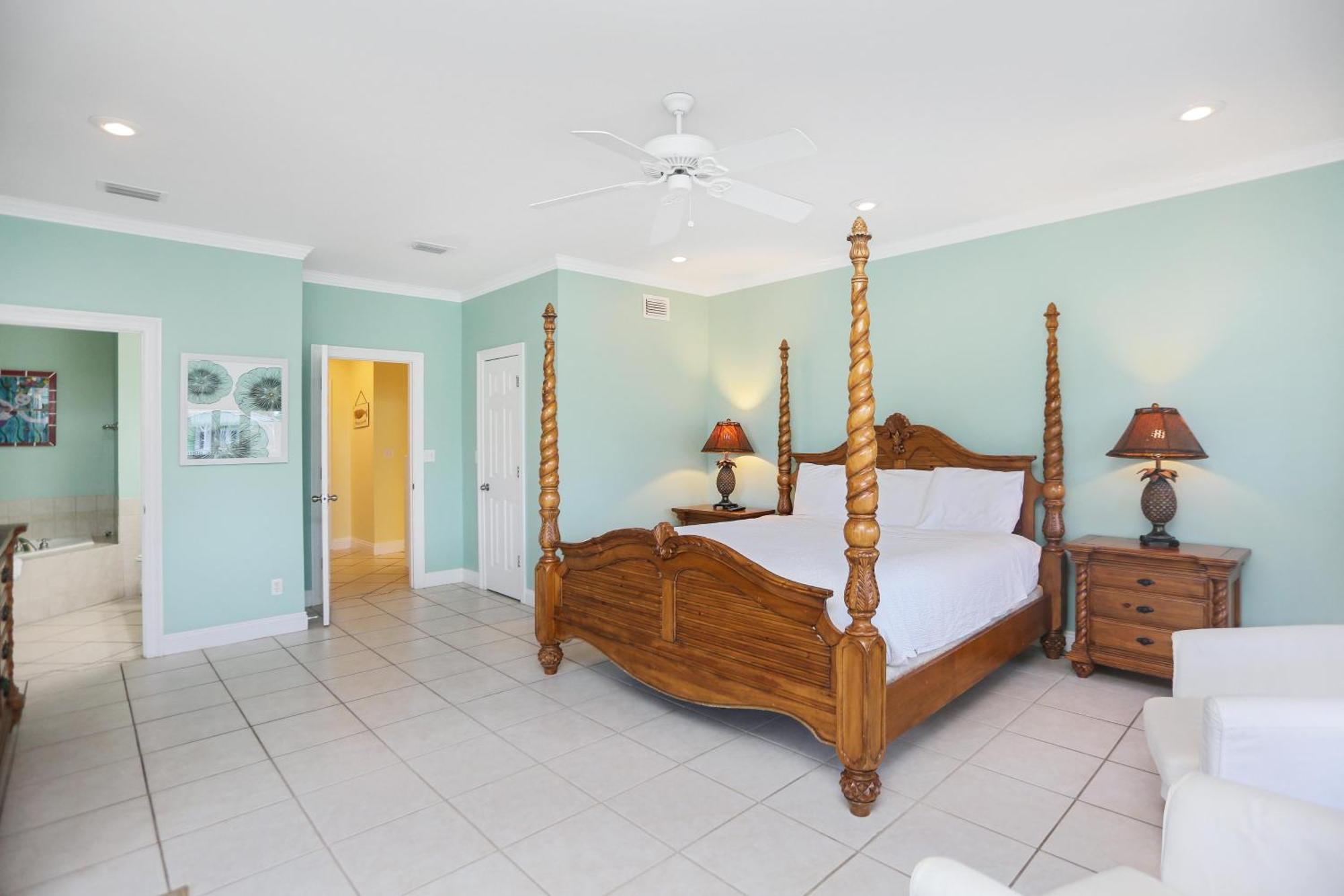 Cape Palms