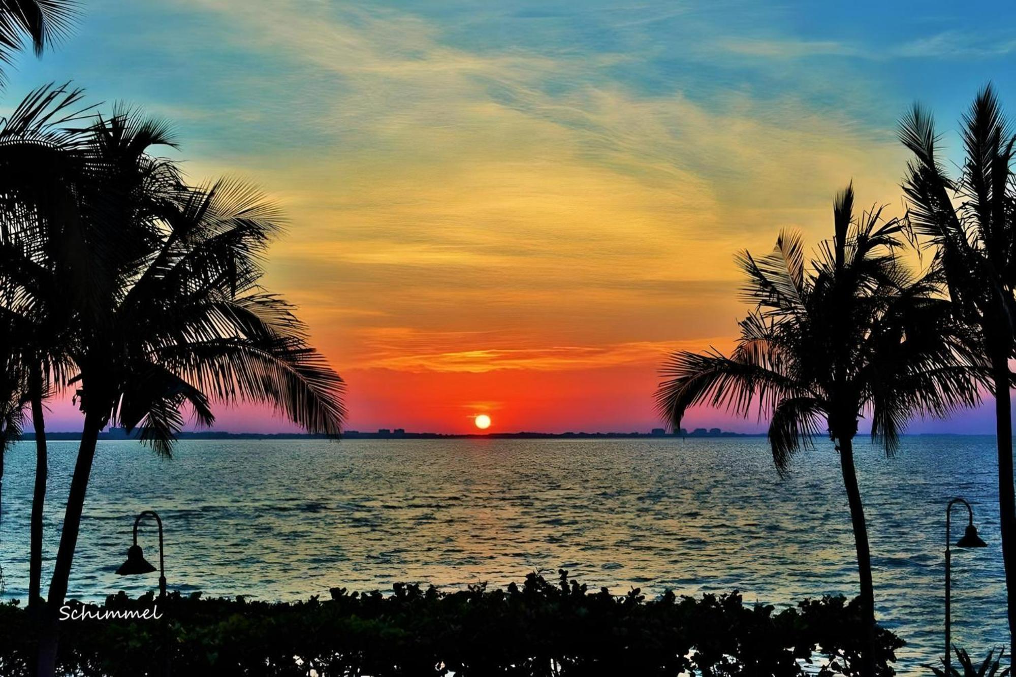 Luxury Zen Den With Heated Pool Just Off Siesta Key Apartment Sarasota