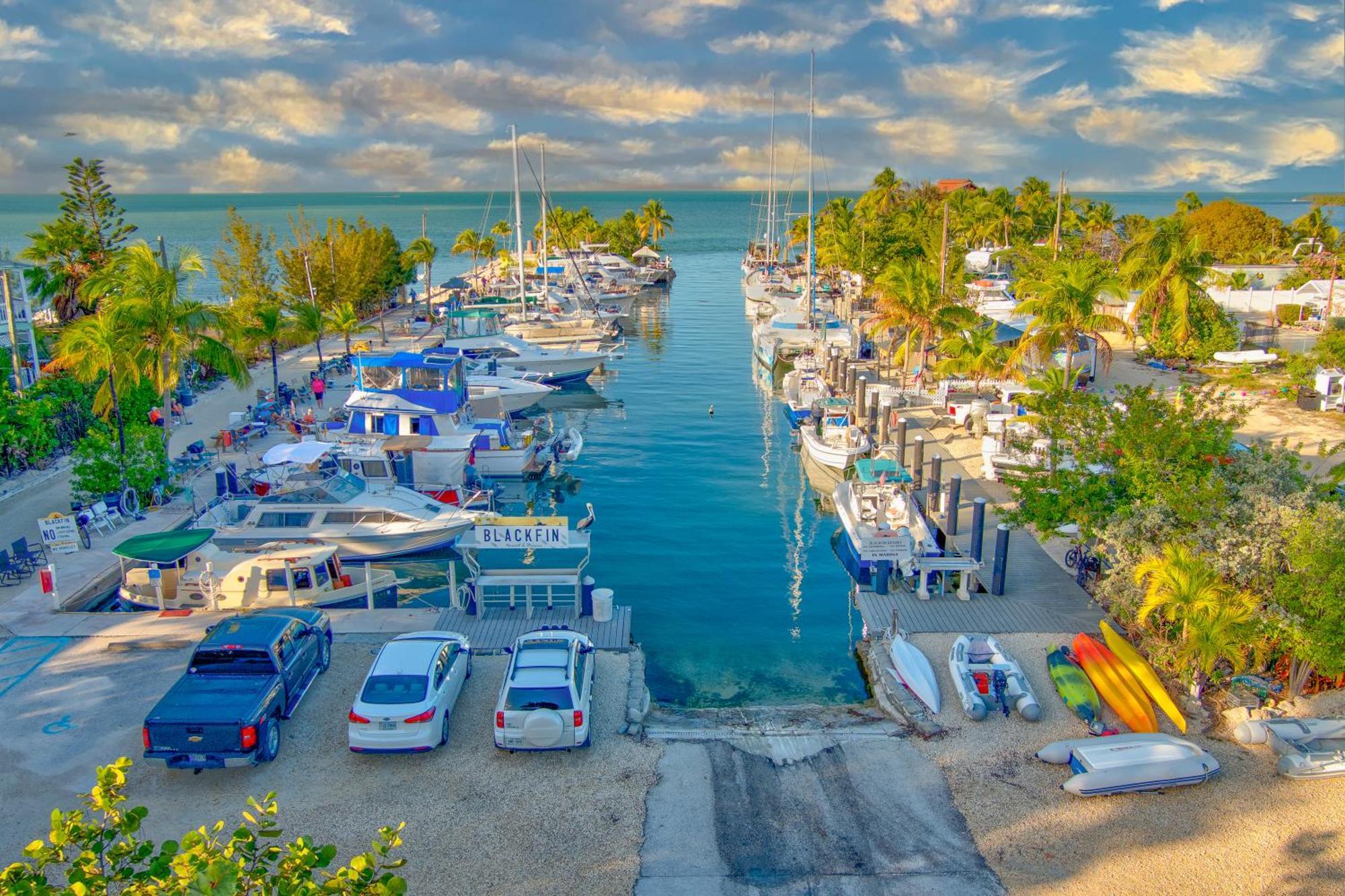 Blackfin And Marina