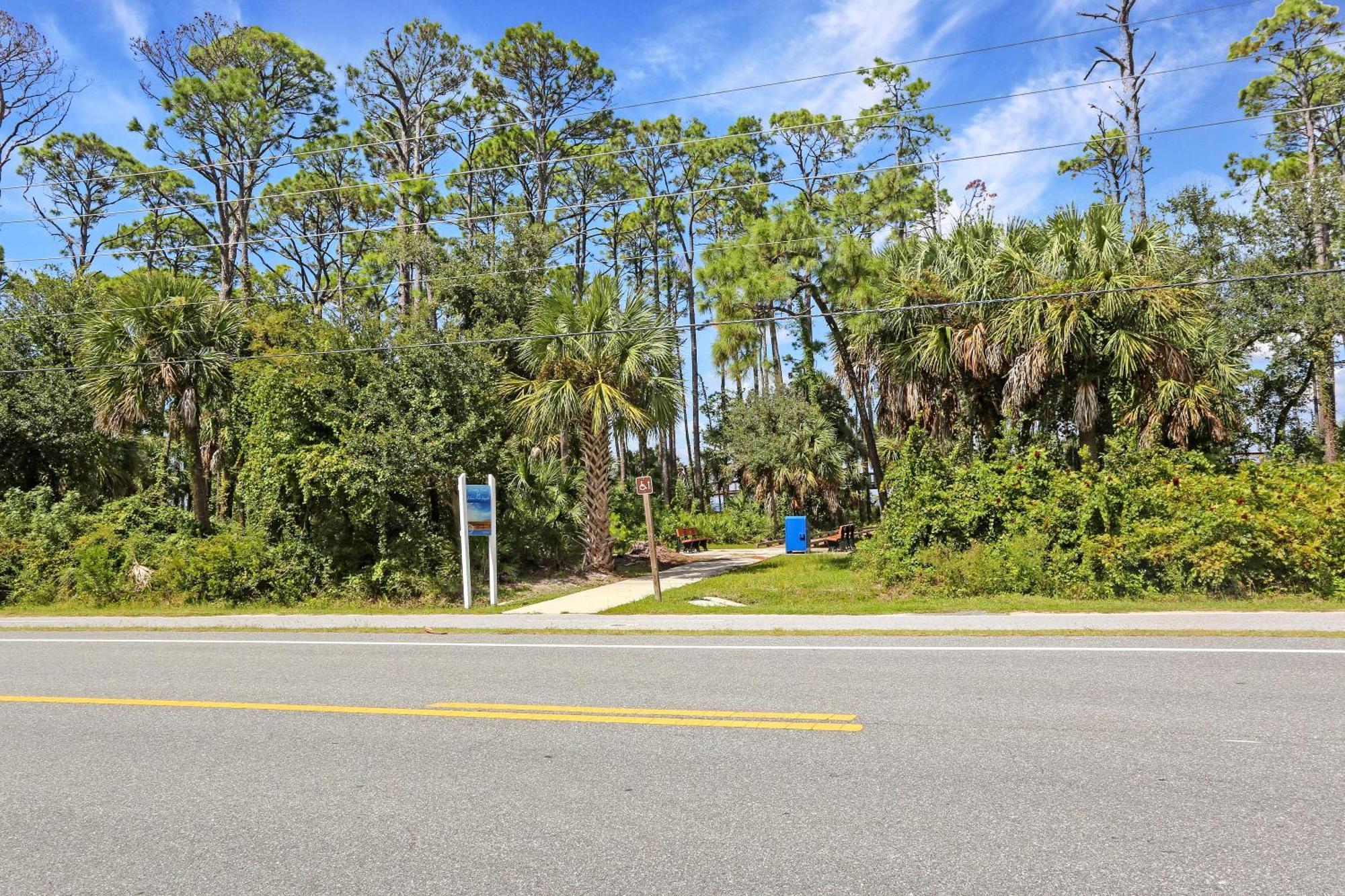 Cape Palms * Cape San Blas