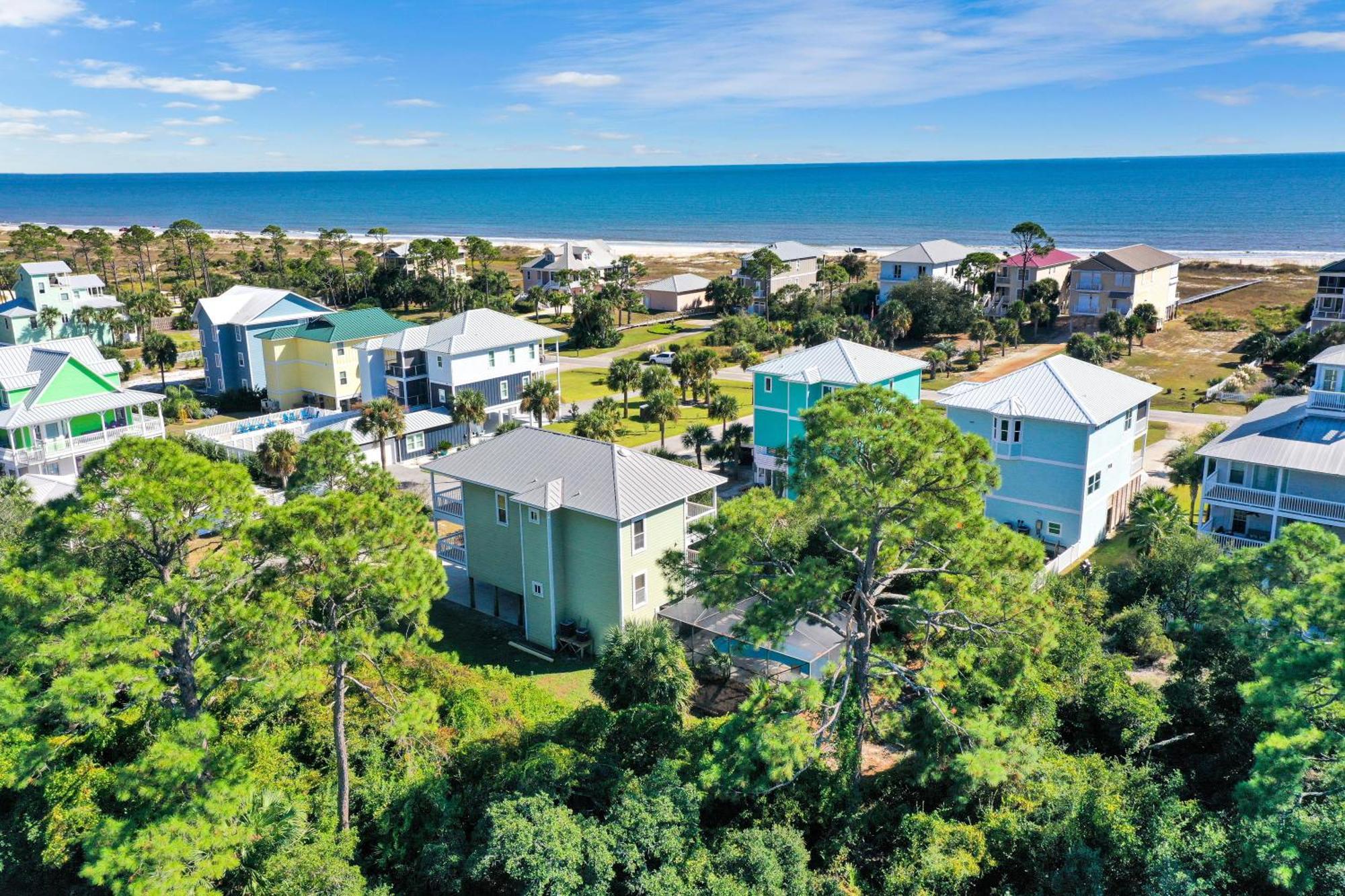 Cape Palms