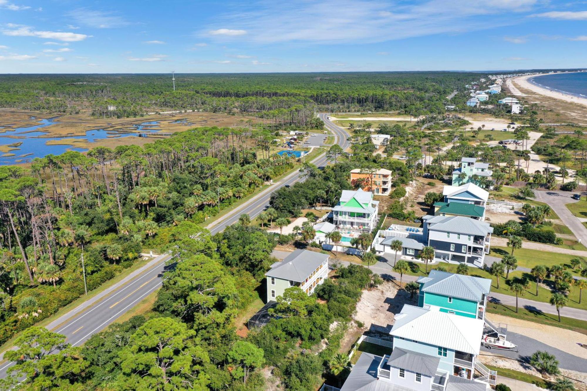 Cape Palms