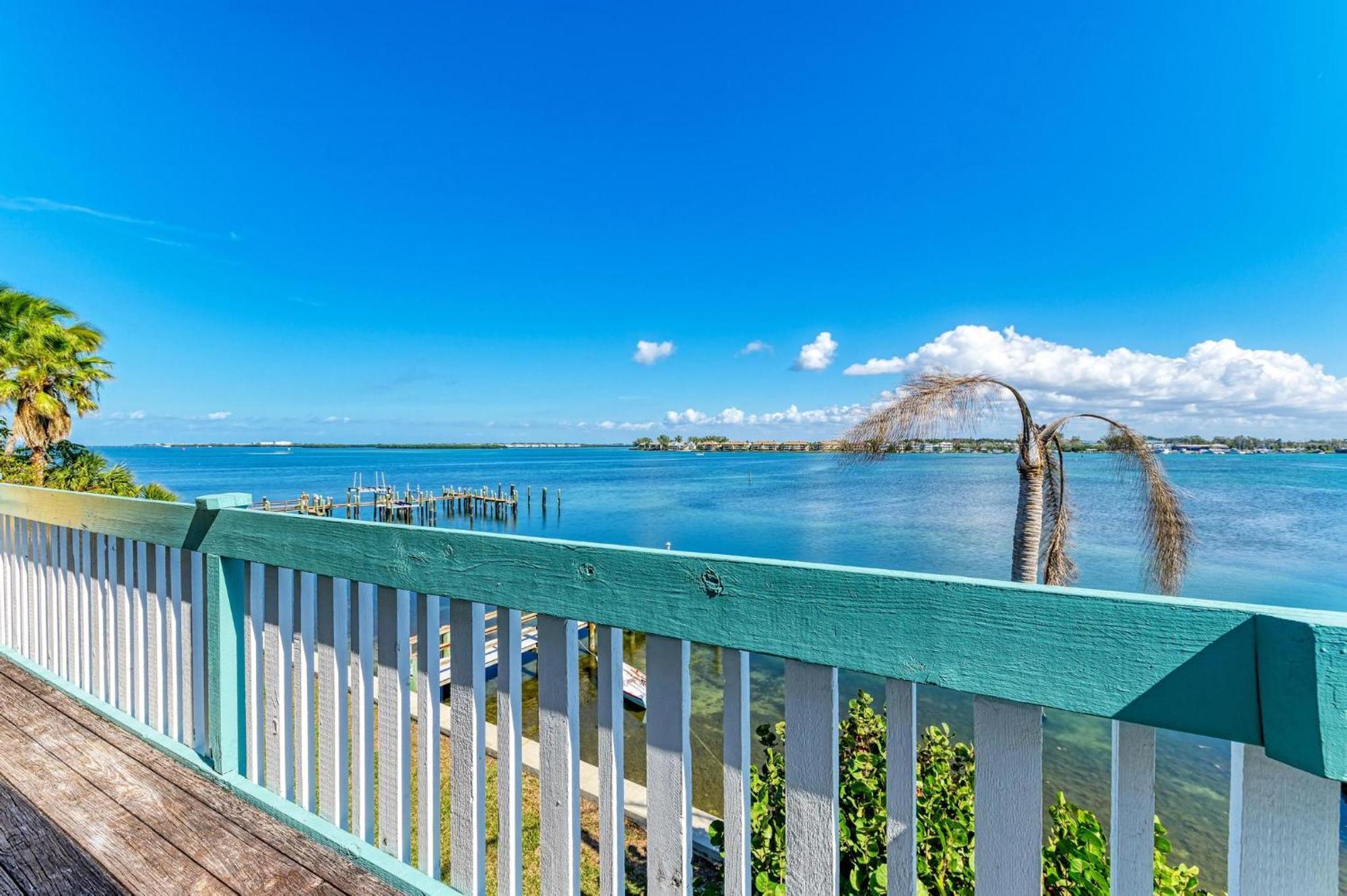 Anna Maria Island Palms 6b *