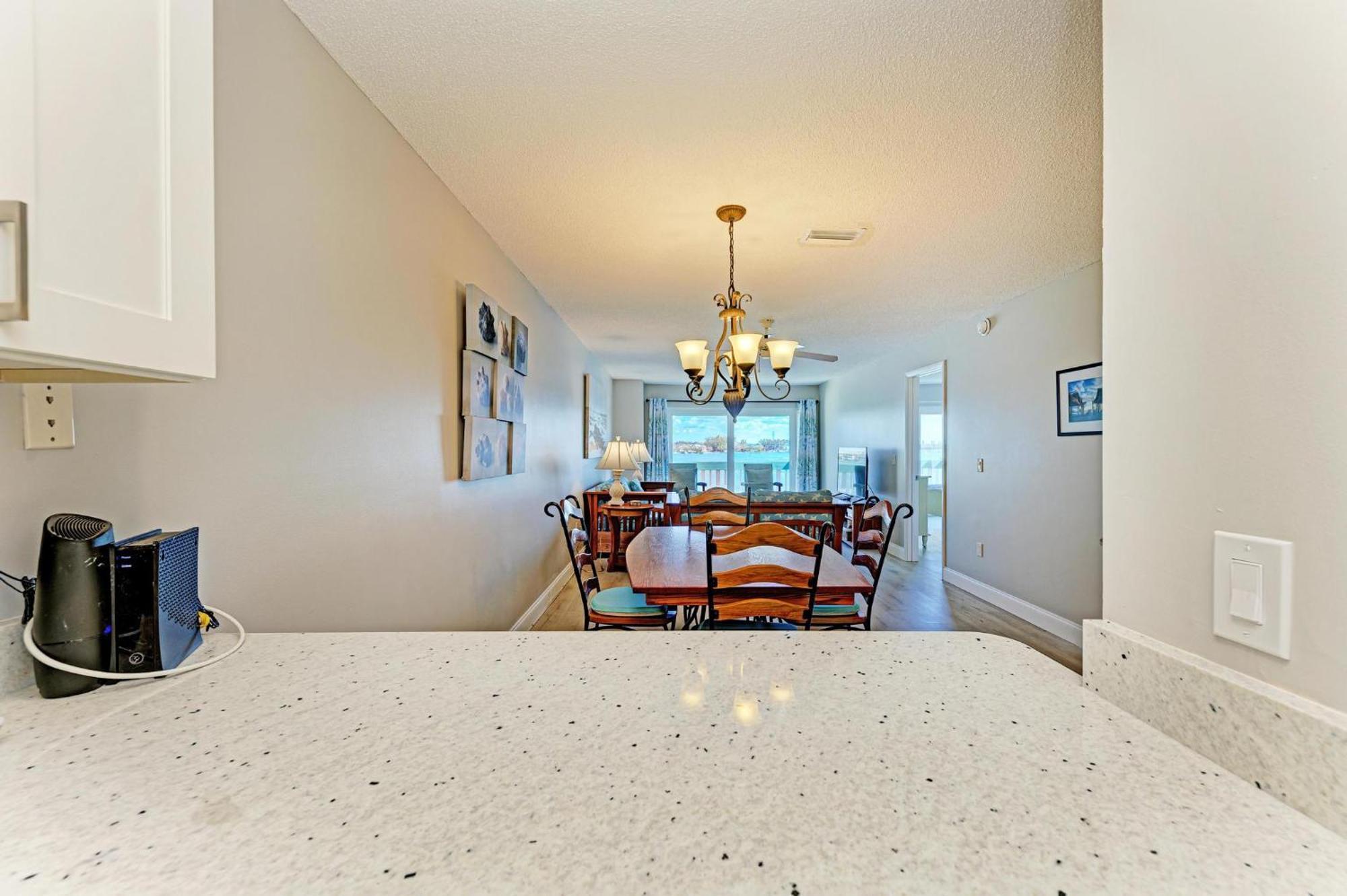 Anna Maria Island Palms 6b